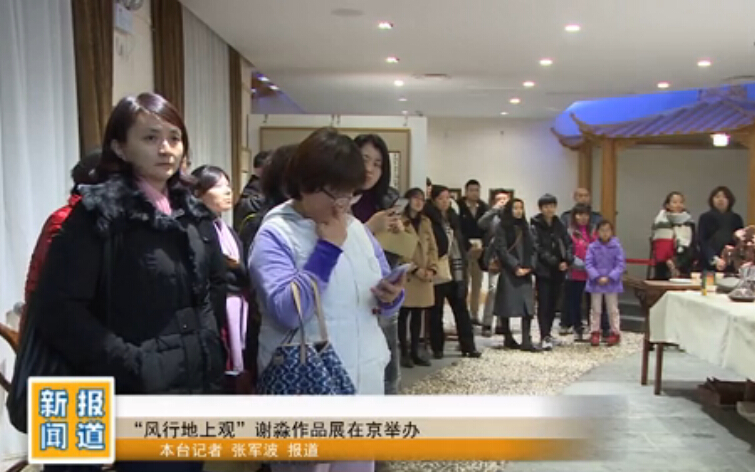 “风行地上观”谢淼作品展在京举办